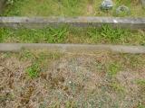 image of grave number 683756